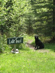 lake trail